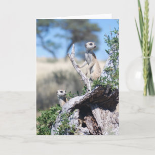 KMP Karte 15 - Bartwachposten