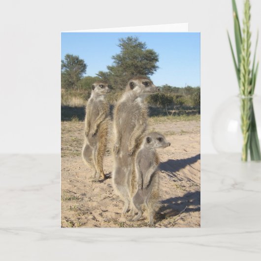 KMP Karte 7 - Azteken (Vorderseite)