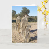 KMP Karte 7 - Azteken (Gelbe Blume)