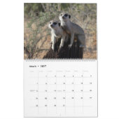 KMP Meerkat 2025 Kalender (Mär 2027)