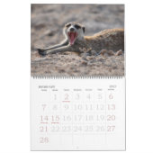KMP Meerkats 2013 Kalender (Feb 2027)