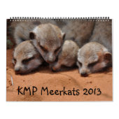 KMP Meerkats 2013 Kalender (Titelbild)