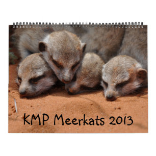 KMP Meerkats 2013 Kalender