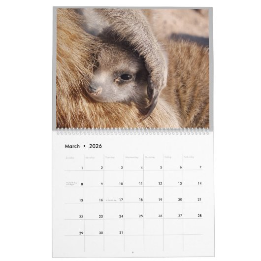 KMP Meerkats - 2020 Kalender (Mär 2026)