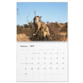 KMP Meerkats - 2020 Kalender (Feb 2027)