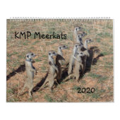 KMP Meerkats - 2020 Kalender (Titelbild)