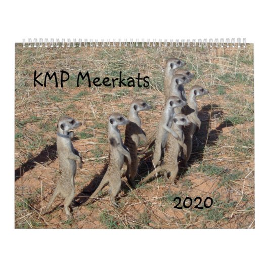KMP Meerkats - 2020 Kalender (Titelbild)