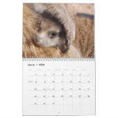 KMP Meerkats - 2020 Kalender (Mär 2026)