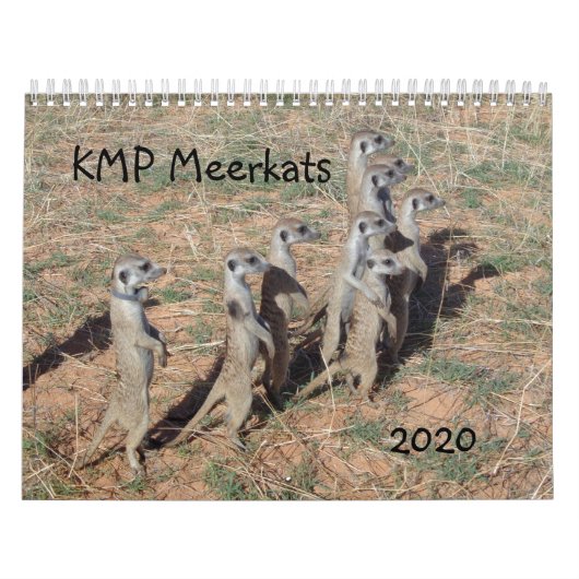KMP Meerkats - 2020 Kalender (Titelbild)
