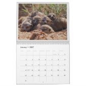 KMP Meerkats - 2020 Kalender (Jan 2027)