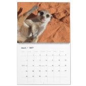 KMP Meerkats 2021 Kalender (Mär 2027)