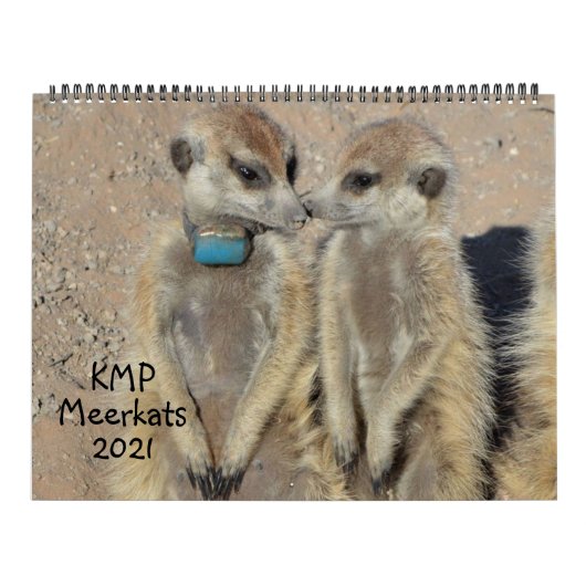 KMP Meerkats 2021 Kalender (Titelbild)
