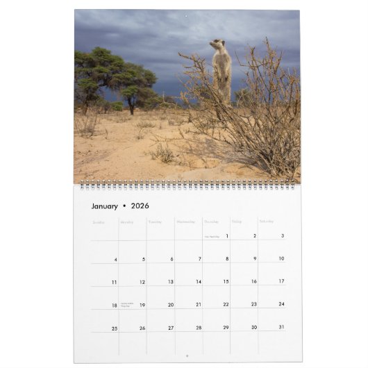 KMP Meerkats 2021 Kalender (Jan 2026)