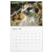 KMP Meerkats 2022 Kalender (Feb 2027)