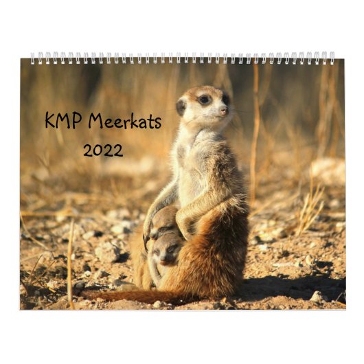 KMP Meerkats 2022 Kalender (Titelbild)