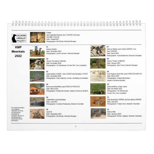 KMP Meerkats 2022 Kalender (Rückseite)