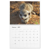 KMP Meerkats 2025 Kalender (Feb 2027)