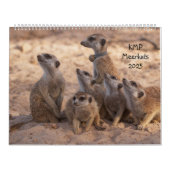 KMP Meerkats 2025 Kalender (Titelbild)