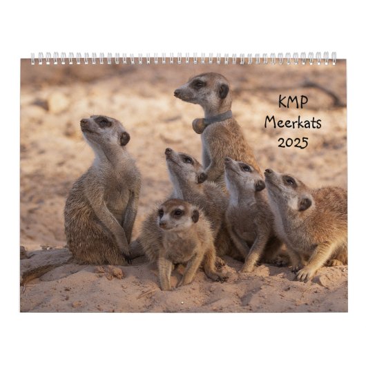 KMP Meerkats 2025 Kalender (Titelbild)