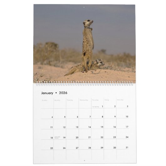 KMP Meerkats 2025 Kalender (Jan 2026)