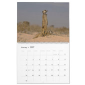 KMP Meerkats 2025 Kalender (Jan 2027)