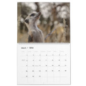 KMP Meerkats 2026 Calendar Kalender (Mär 2026)