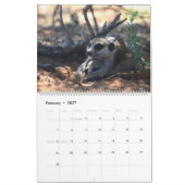 KMP Meerkats 2026 Calendar Kalender (Feb 2027)