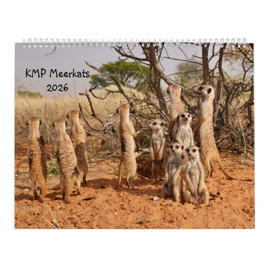 KMP Meerkats 2026 Calendar Kalender (Titelbild)