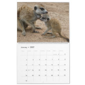 KMP Meerkats 2026 Calendar Kalender (Jan 2027)