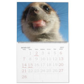 KMP Meerkats - Kalender 2009 (Feb 2027)