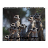 KMP Meerkats - Kalender 2009 (Titelbild)