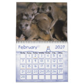 KMP Meerkats Kalender 2011 (Feb 2027)