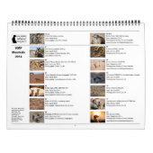 KMP Meerkats - Kalender 2014 (Rückseite)