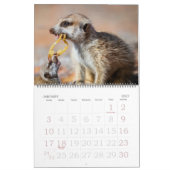 KMP Meerkats - Kalender 2014 (Jan 2027)