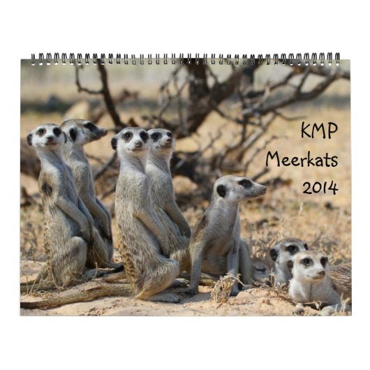 KMP Meerkats - Kalender 2014 (Titelbild)