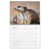 KMP Meerkats - Kalender 2014 (Jan 2026)