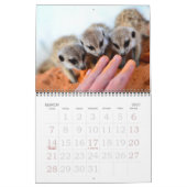 KMP Meerkats - Kalender 2015 (Mär 2027)