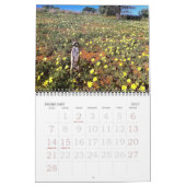 KMP Meerkats - Kalender 2015 (Feb 2027)