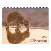 KMP Meerkats - Kalender 2015 (Titelbild)