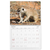 KMP Meerkats - Kalender 2016 (Mär 2027)
