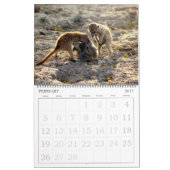 KMP Meerkats - Kalender 2016 (Feb 2017)