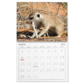 KMP Meerkats - Kalender 2016 (Mär 2026)