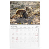KMP Meerkats - Kalender 2016 (Feb 2026)