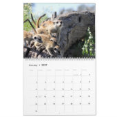 KMP Meerkats - Kalender 2017 (Jan 2027)