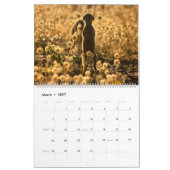 KMP Meerkats - Kalender 2017 (Mär 2027)
