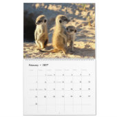 KMP Meerkats - Kalender 2017 (Feb 2027)