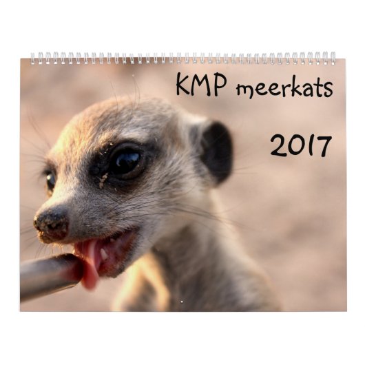 KMP Meerkats - Kalender 2017 (Titelbild)