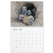 KMP Meerkats - Kalender 2018 (Feb 2027)