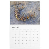 KMP Meerkats - Kalender 2018 (Mär 2027)