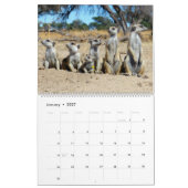 KMP Meerkats - Kalender 2018 (Jan 2027)